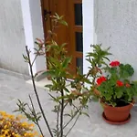 Adriana